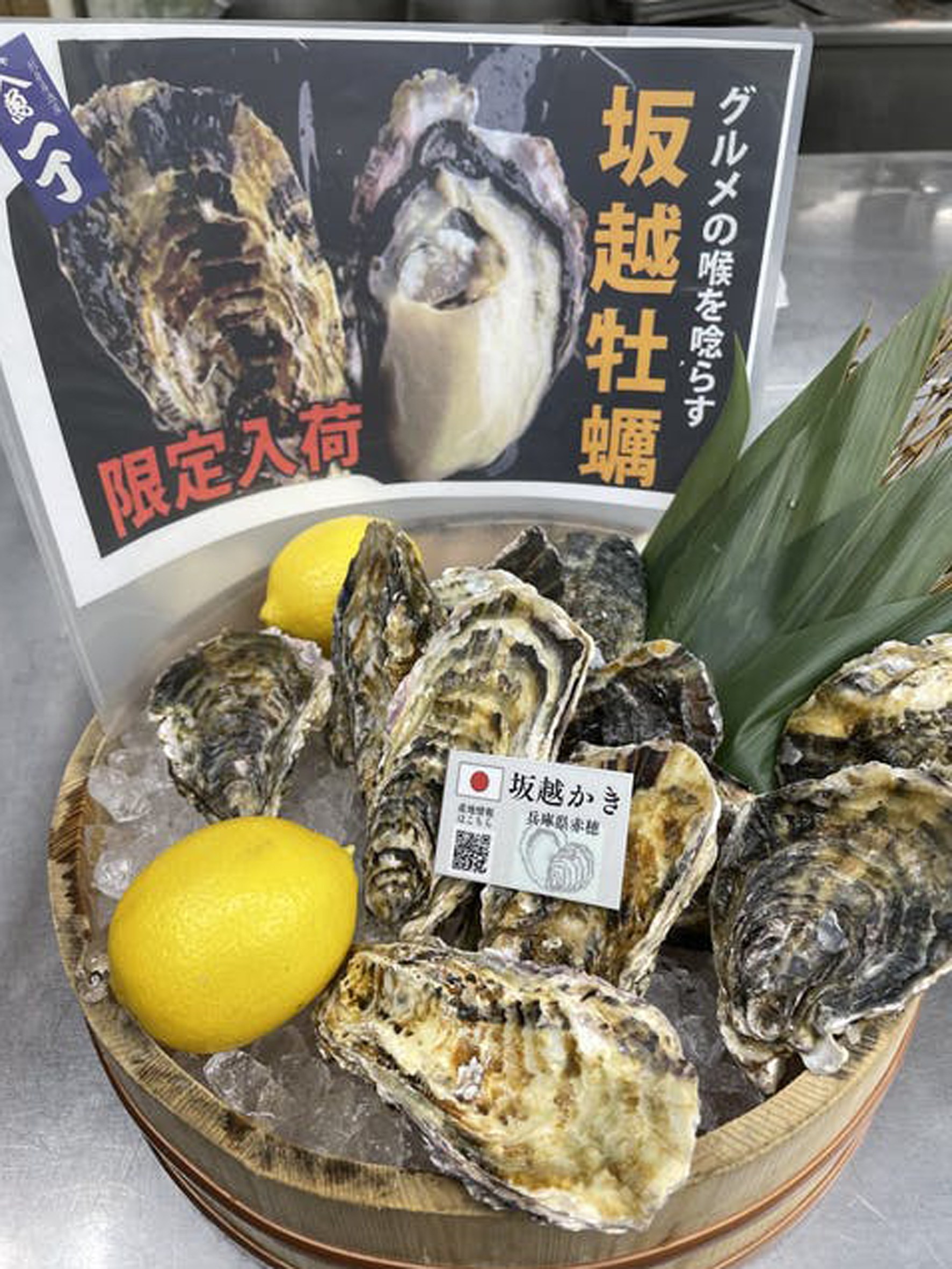 居酒屋　うおや一丁 川崎砂子店　／焼き牡蠣／海鮮／寿司／ランチ